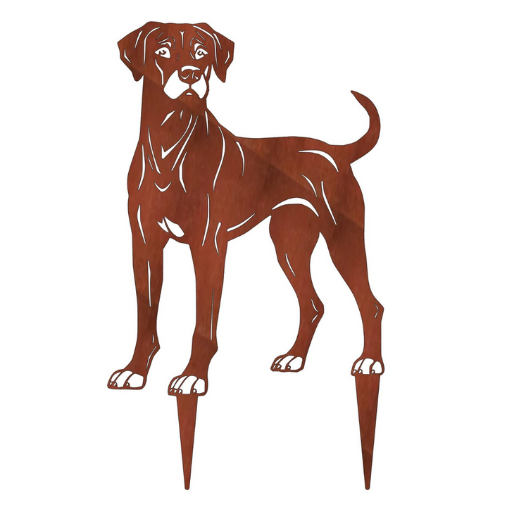 Gartenstecker "Rhodesian Ridgeback"