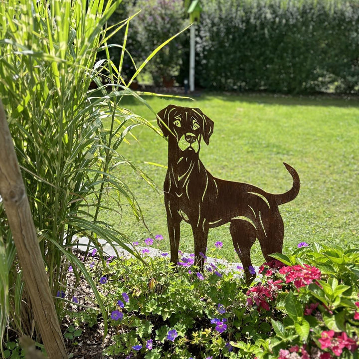 Gartenstecker "Rhodesian Ridgeback"